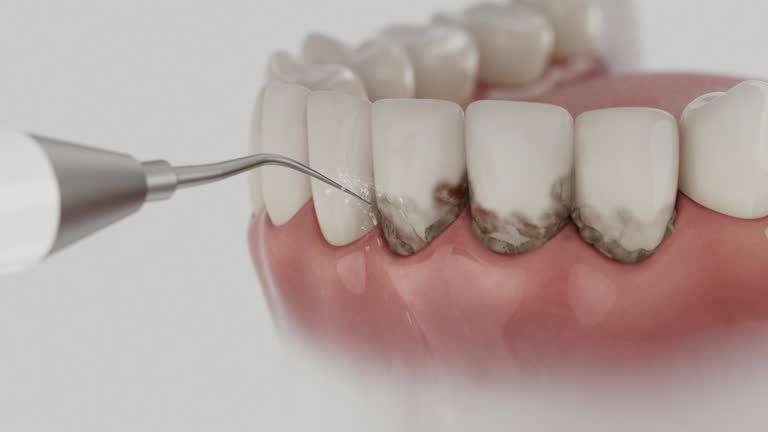 Reliable Dental contractor in Claiborne County County, MS by Dentist Open Now